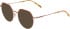 Morgan 3237 sunglasses in Orange