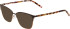 Menrad 3456 sunglasses in Brown