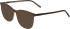 Menrad 1143 sunglasses in Brown