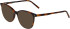 Menrad 1142 sunglasses in Tortoiseshell
