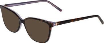Menrad 1138 sunglasses in Brown
