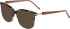 JOOP! 2092 sunglasses in Brown Tortoiseshell