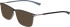 Jaguar 6825 sunglasses in Grey