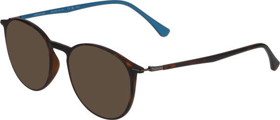 Jaguar 6808 sunglasses in Brown