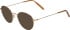 Jaguar 3719 sunglasses in Brown