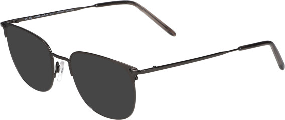 Jaguar 3718 sunglasses in Grey