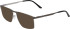 Jaguar 3626 sunglasses in Dark Grey