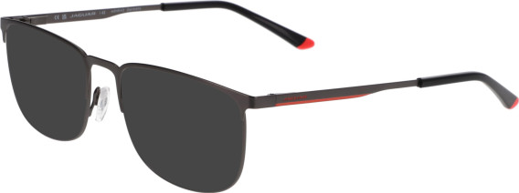 Jaguar 3616 sunglasses in Dark Grey