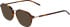 Jaguar 2706 sunglasses in Tortoiseshell