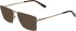 Bogner 3033 sunglasses in Brown