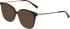 Bogner 2020 sunglasses in Brown