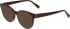 Bogner 1024 sunglasses in Brown