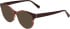 Bogner 1024 sunglasses in Red