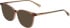 Bogner 1018 sunglasses in Beige