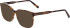 Bogner 1016 sunglasses in Brown