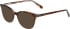 Bogner 1012 sunglasses in Brown
