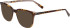 Bogner 1011 sunglasses in Brown