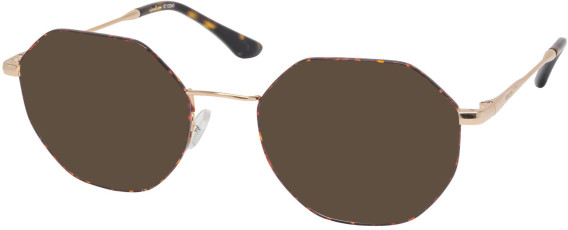 RIP CURL GOM012 sunglasses in Brown