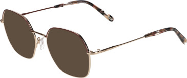 Morgan 3231 sunglasses in Gold/Brown