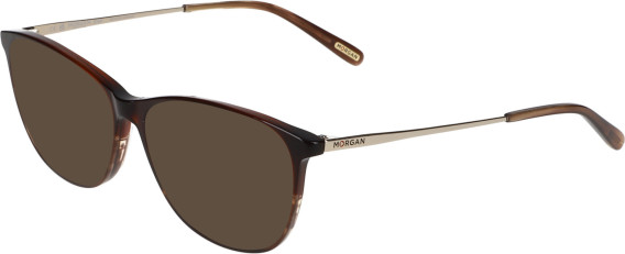 Morgan 2034 sunglasses in Brown