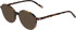 Morgan 1155 sunglasses in Black