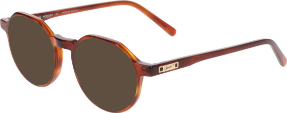Morgan 1152 sunglasses in Brown