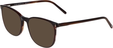 Menrad 1143 sunglasses in Dark Brown