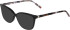 Menrad 1138 sunglasses in Black