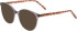 Menrad 1134 sunglasses in Grey Brown