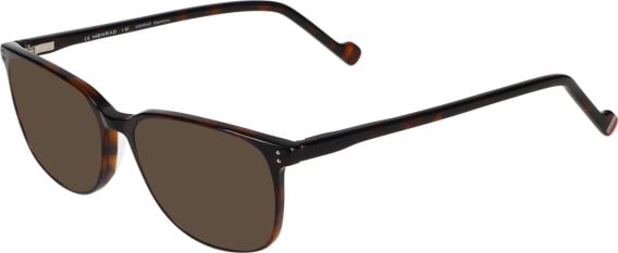 Menrad 1095 sunglasses in Brown