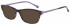 Ted Baker Sunglasses TB9106 in Tortoise/Purple