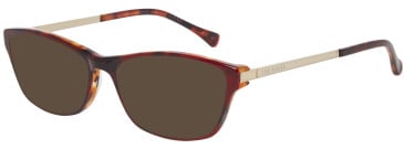 Ted Baker Sunglasses TB9106 in Burgundy/Tortoise