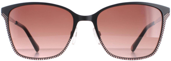 Ted Baker TB1563 Sunglasses in Black