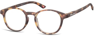 SFE (10934) +1.00 Ready-Made Reading Glasses
