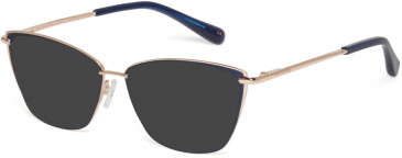 Ted Baker TB2244 sunglasses in Navy