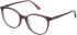 NINA RICCI VNR236 glasses in SHINY TRANSP. DARK BROWN