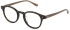 LOZZA VL4293 glasses in SHINY DARK HAVANA