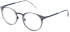 LOZZA VL2376 glasses in SHINY TRANSP.GREY