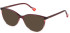YALEA VYA047V-52 Sunglasses in GRAD.BORDEAUX