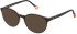 YALEA VYA007V Sunglasses in BLACK TOP+CORAL