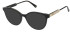 NINA RICCI VNR314 Sunglasses in SHINY CLASSIC HAVANA