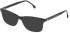 LOZZA VL4292 Sunglasses in SHINY DARK HAVANA