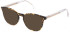 LOZZA VL4291 Sunglasses in SHINY YELLOW HAVANA