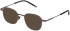 LOZZA VL2364 Sunglasses in TOTAL MATT ANTIQUE PEWTER