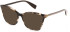 FURLA VFU545 Sunglasses in SHINY LIGHT HAVANA