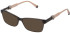 FURLA VFU378 Sunglasses in TRANSP.GREY