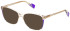 FURLA VFU579 Sunglasses in SHINY TRANSP.LIGHT BEIGE