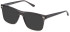 LOZZA VL4288 Sunglasses in SHINY TRANSPARENT DARK GREY