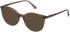 NINA RICCI VNR236 Sunglasses in SHINY TRANSP. DARK BROWN