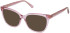 NINA RICCI VNR288 Sunglasses in SHINY TRANSPARENT PINK